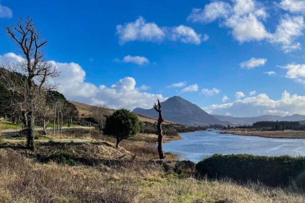 Donegal Luxury Pods Lägenhet Gaoth Dobhair Exteriör bild